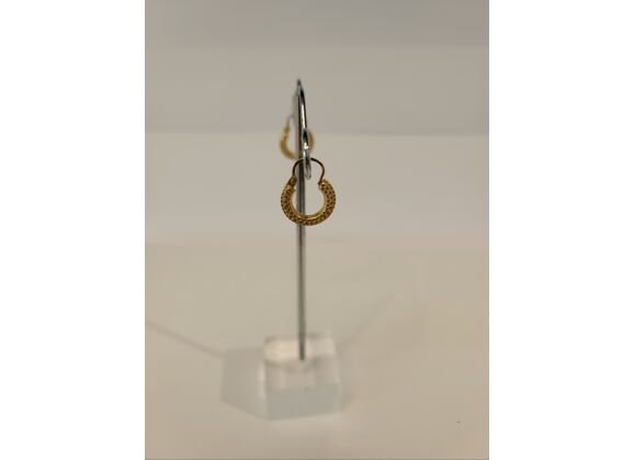 Image Boucle d'oreille Créoles Or jaune