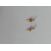Image Boucles d'oreilles Or jaune