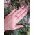 Image Bague Or jaune Rubis Diamants