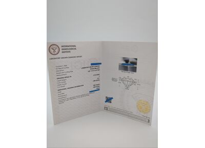 Image Collier Or blanc Diamant Sans