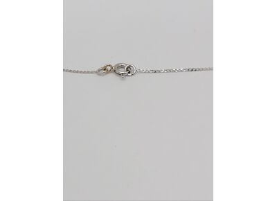 Image Collier Or blanc