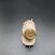 Image Bague Or jaune