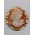 Image Broche Or empierré NON SIGNE Or jaune Camée Sans