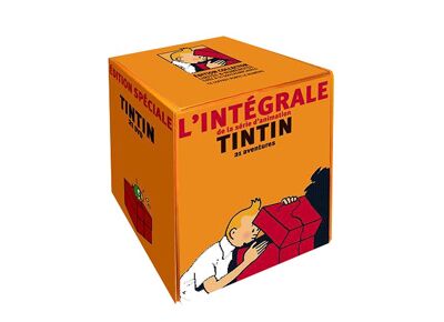 DVD  Les Aventures De Tintin - L'intégrale 21 Dvd DVD Zone 2
