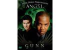DVD  Angel - Gunn DVD Zone 2