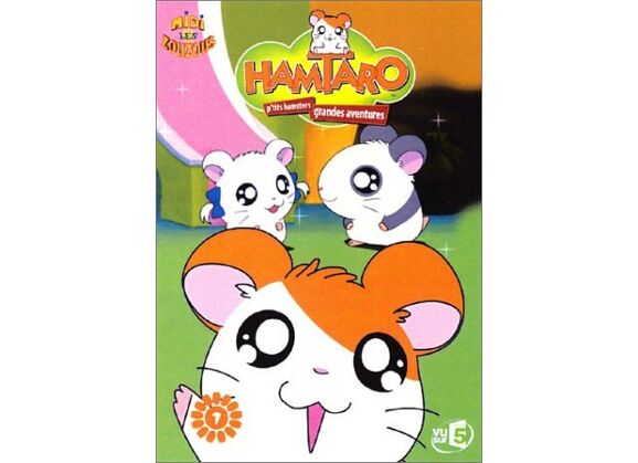 Image DVD Hamtaro - 2 - L'été En Fête DVD Zone 2