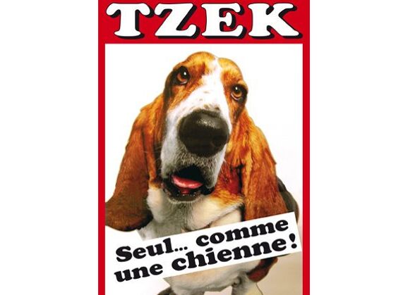 Image DVD Seul ...Comme Une Chienne ! DVD Zone 2