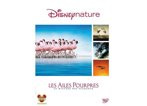 Image DVD Les Ailes Pourpres : Le Mystère Des Flamants DVD Zone 2
