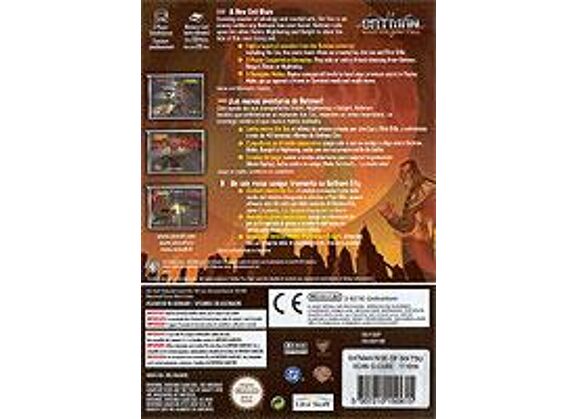 Image Jeux Vidéo Batman Rise of Sin Tzu Game Cube