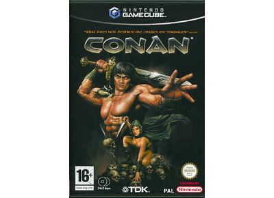 Jeux Vidéo Conan Game Cube