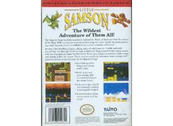 Image Jeux Vidéo Little Samson NES/Famicom