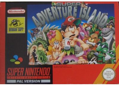 Image Jeux Vidéo Super Adventure Island Super Nintendo
