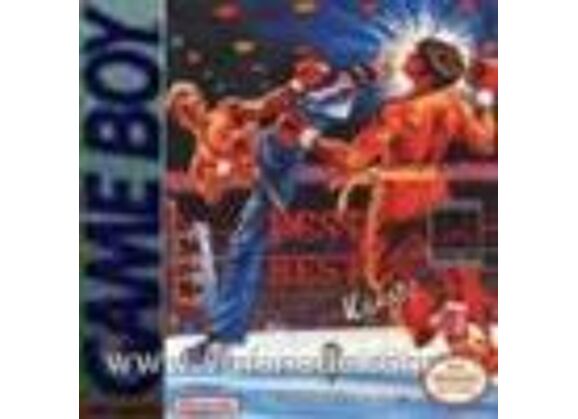 Image Jeux Vidéo Best of the Best Championship Karate Game Boy