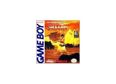 Image Jeux Vidéo Samurai Shodown Game Boy