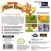 Image Jeux Vidéo Tom and Jerry The Magic Ring Game Boy Advance