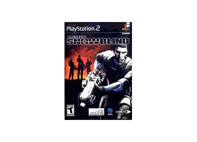 Jeux Vidéo Project Snowblind PlayStation 2 (PS2)