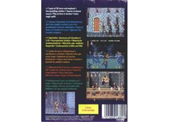 Image Jeux Vidéo Sword of Sodan Megadrive