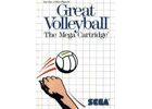 Jeux Vidéo Great Volleyball Master System