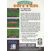 Image Jeux Vidéo Clutch Hitter Game Gear
