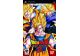 Jeux Vidéo Dragon Ball Z Shin Budokai 2 Another Road PlayStation Portable (PSP)