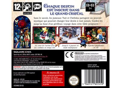 Jeux Vidéo Final Fantasy Crystal Chronicles Ring of Fates DS