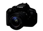 Appareils photos numériques CANON EOS 700D + EF-S 18-55mm IS STM Noir Noir