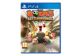 Jeux Vidéo Worms Battlegrounds PlayStation 4 (PS4)