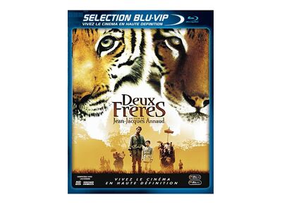 Blu-Ray  Deux Frères - Édition Blu-Ray+ Dvd