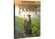 Blu-Ray  Le Hobbit: Un Voyage Inattendu - Ultimate Edition + Dvd + Copie Digitale - Digipack Exclusif Gandalf