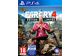 Jeux Vidéo Far Cry 4 PlayStation 4 (PS4)