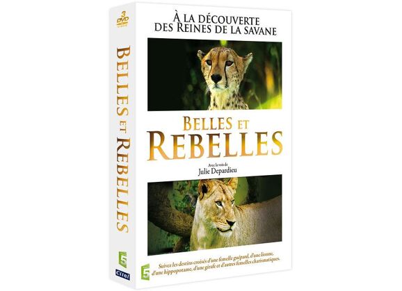 Image DVD Belles et rebelles DVD Zone 2