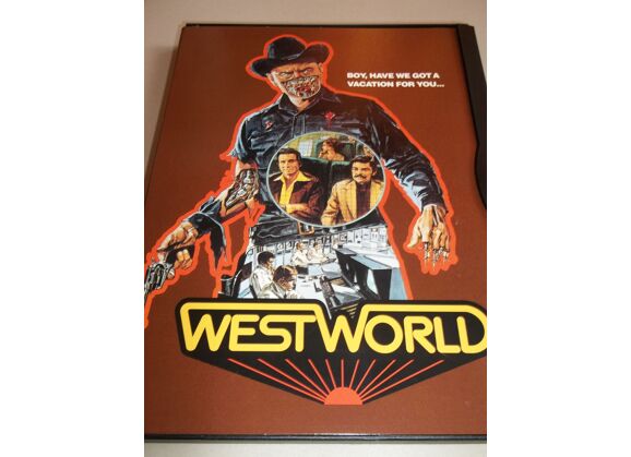 Image DVD Westworld DVD Zone 1