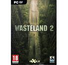 Jeux Vidéo Wasteland 2 Jeux PC