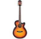 Guitares IBANEZ AEG10EVS1202