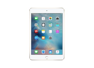 Tablette APPLE iPad Mini 4 (2015) Argent 64 Go Wifi 7.9