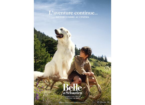 Image DVD GAUMONT Belle et Sébastien 2 DVD DVD Zone 2