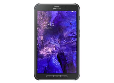 Tablette SAMSUNG Galaxy Tab Active Titane 16 Go Wifi 8