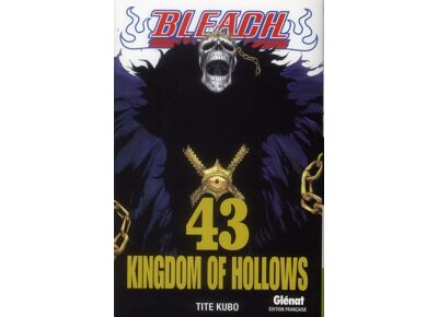 Bleach t.43 - Kingdom of hollow