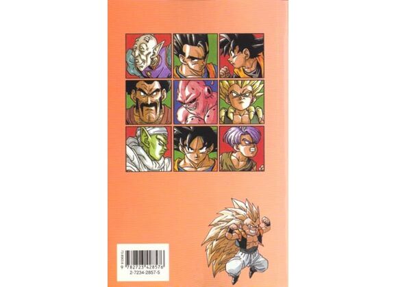 Image Dragon ball t.41 - Super Gotenks