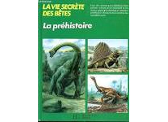 Image Prehistoire