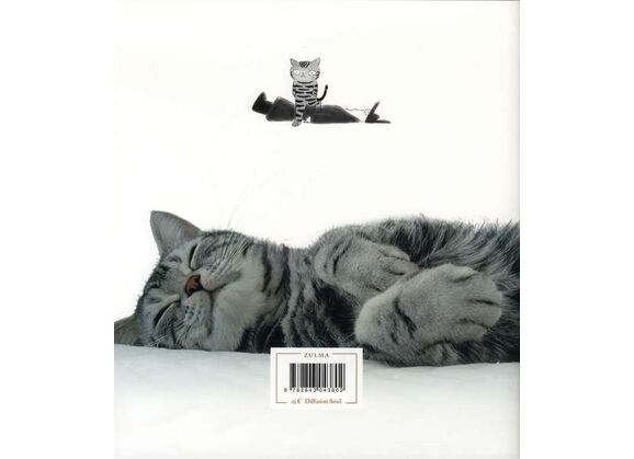 Image Toi, mon chat !