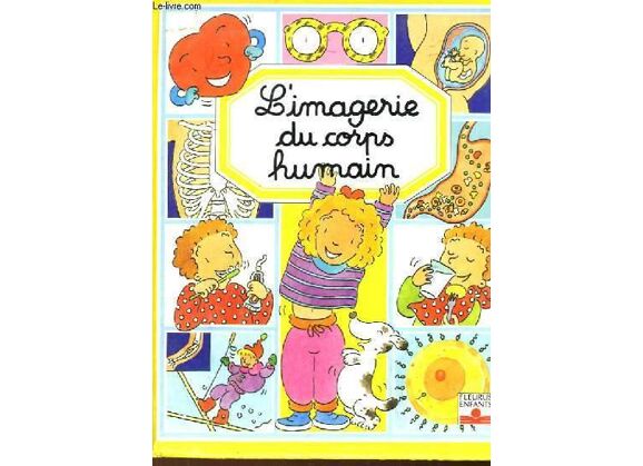 Image L'imagerie du corps humain