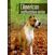 Image L'american staffordshire terrier
