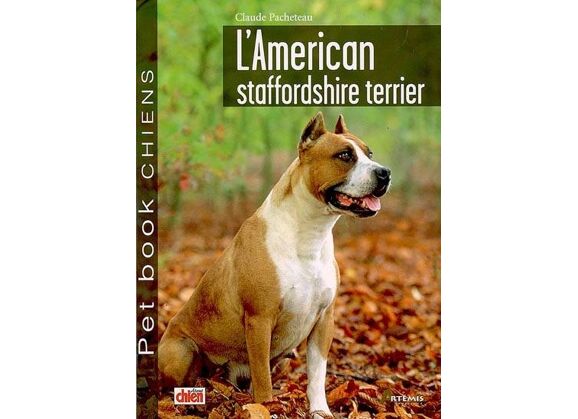Image L'american staffordshire terrier