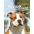 Image L'american staffordshire terrier