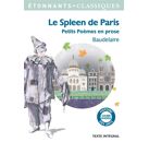 Image Le spleen de paris - (petits poèmes en prose)
