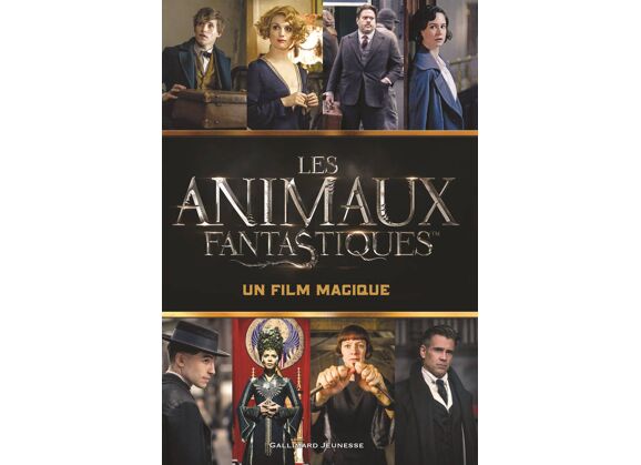 Image Les animaux fantastiques - un film magique