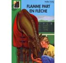 Image Flamme Part En Fleche