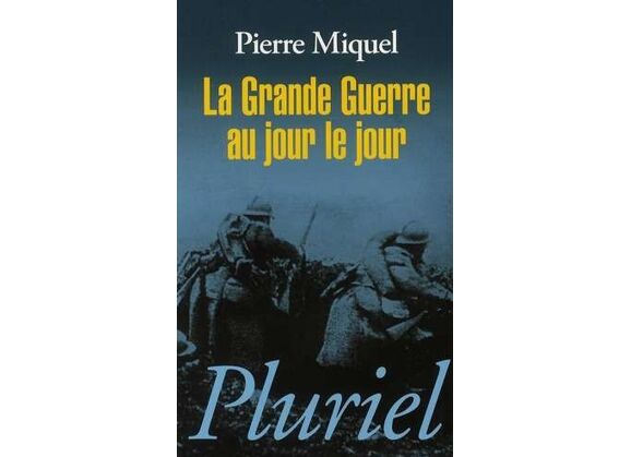 Image La grande guerre au jour le jour