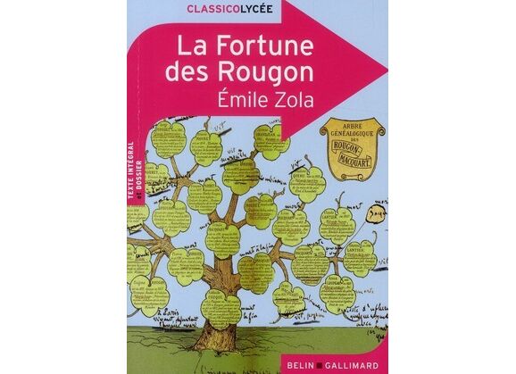 Image La fortune des rougon, d'emile zola